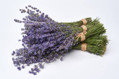 Beyaz arka planda izole edilmiş bir bukette taze lavanta.