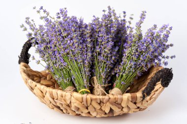 Beyaz arka planda sepetin içinde taze lavanta buketleri