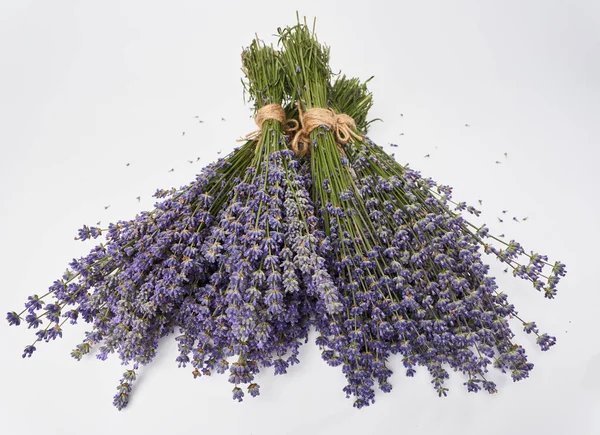 Frischer Lavendel Eng Einem Strauß Isoliert Auf Weißem Hintergrund — Stockfoto