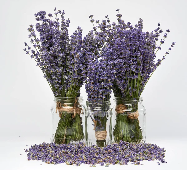 Lavendel Frische Sträuße Gläsern Vor Weißem Hintergrund — Stockfoto