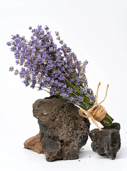 Bouquet Von Frischem Lavendel Auf Vulkanischen Felsen Isoliert Auf Weiß — Stockfoto