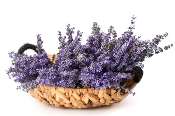 Färsk Lavendel Buketter Korg Vit Bakgrund — Stockfoto