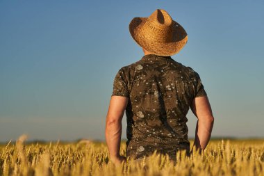Olgun buğday tarlasında hasır şapkalı çiftçi