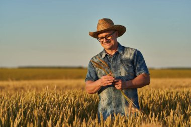 Olgun buğday tarlasında hasır şapkalı çiftçi