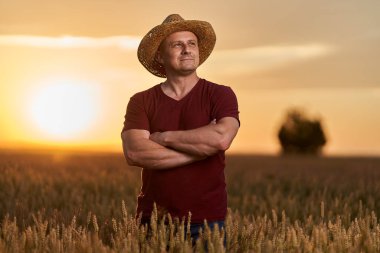 Olgun buğday tarlasında hasır şapkalı çiftçi güneş batarken çerçevede