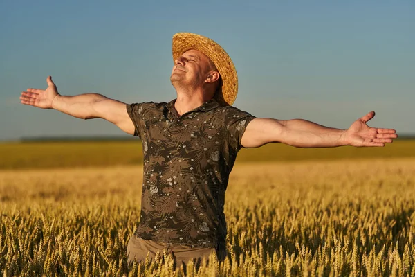 Agricultor Chapéu Palha Campo Trigo Maduro Pôr Sol — Fotografia de Stock