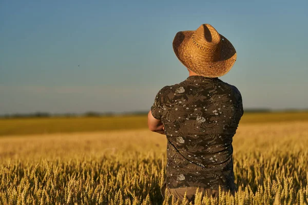 Fermier Chapeau Paille Dans Champ Blé Mûr Coucher Soleil — Photo