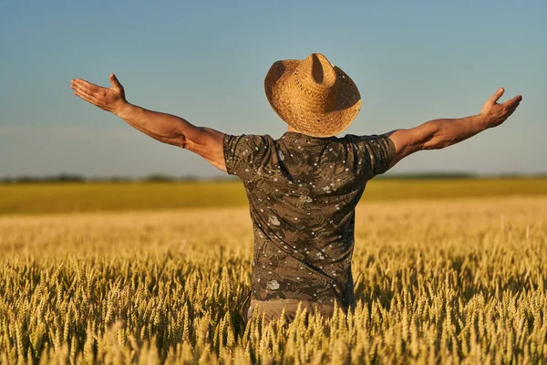 Fermier Chapeau Paille Dans Champ Blé Mûr Coucher Soleil — Photo