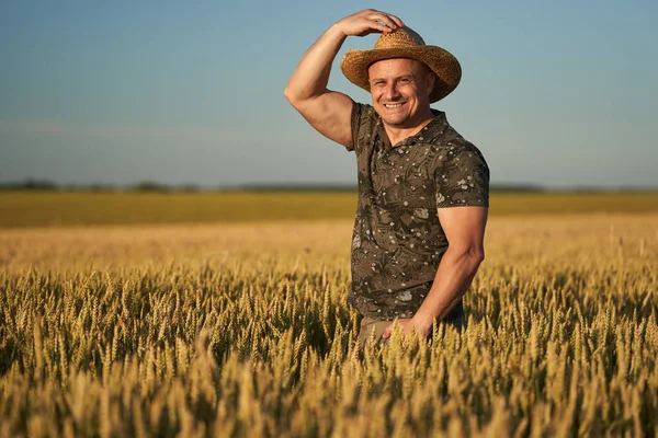 Фермер Солом Яному Капелюсі Полі Стиглої Пшениці Заході Сонця — стокове фото