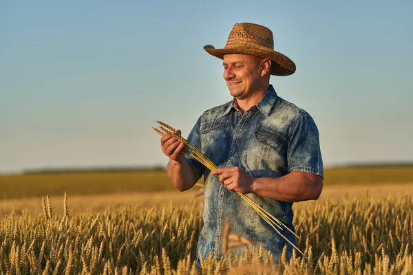 Olgun Buğday Tarlasında Hasır Şapkalı Çiftçi — Stok fotoğraf