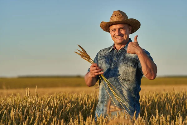 Farmář Slamáku Poli Zralý Pšenice Při Západu Slunce — Stock fotografie