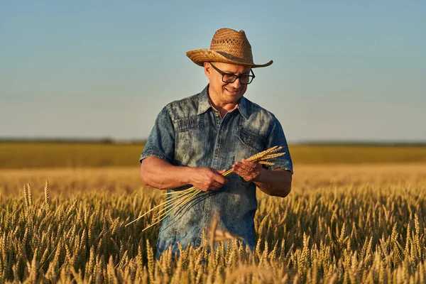 Agricultor Chapéu Palha Campo Trigo Maduro Pôr Sol — Fotografia de Stock