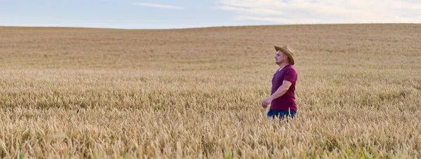 Farmer Cappello Paglia Passeggiando Campo Grano Maturo Campagna — Foto Stock