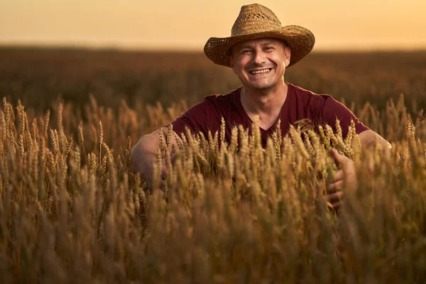 Agricultor Sombrero Paja Campo Trigo Maduro Atardecer —  Fotos de Stock