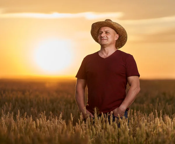 Agricultor Sombrero Paja Campo Trigo Maduro Atardecer Con Sol Marco —  Fotos de Stock