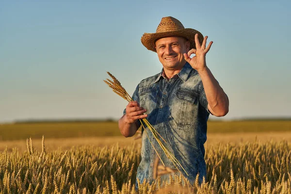 Farmer Straw Hat Field Ripe Wheat Sunset Stock Photo