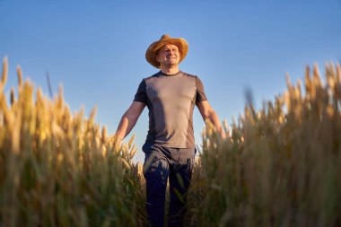 Olgun bir buğday tarlasında gün batımında mutlu bir çiftçi