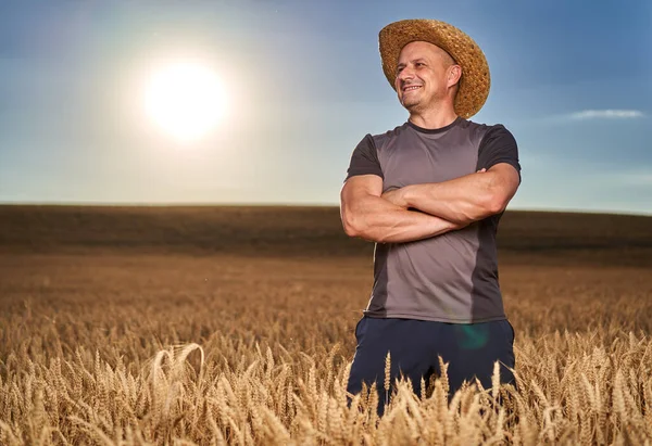 Fazendeiro Feliz Campo Trigo Maduro Pôr Sol — Fotografia de Stock