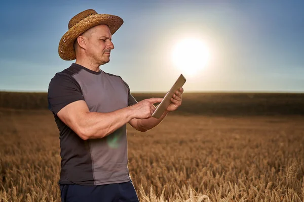 Agricultor Com Tablet Verificando Estado Sua Cultura Trigo — Fotografia de Stock
