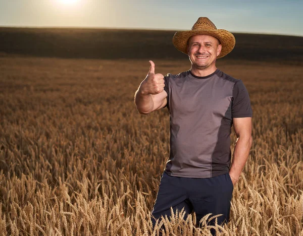 夕暮れ時に熟した小麦畑で幸せな農家 — ストック写真