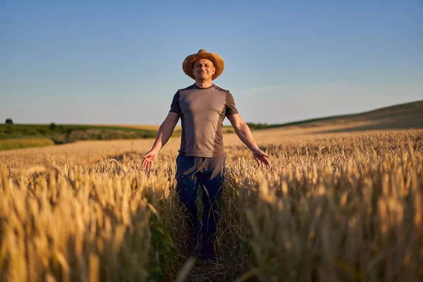 Χαρούμενος Αγρότης Ένα Χωράφι Ώριμου Σιταριού Ηλιοβασίλεμα — Φωτογραφία Αρχείου