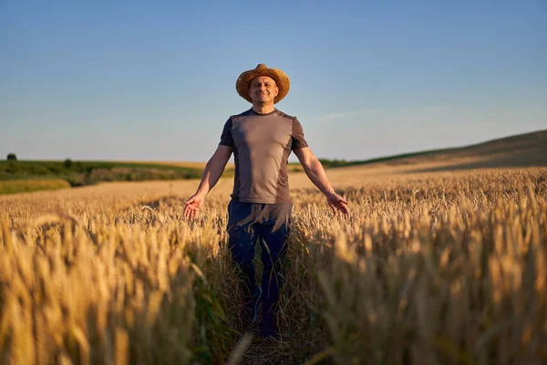 Heureux Agriculteur Dans Champ Blé Mûr Coucher Soleil — Photo