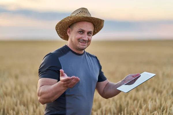 Farmář Tabulkou Kontrolující Stav Jeho Pšeničné Kultury — Stock fotografie