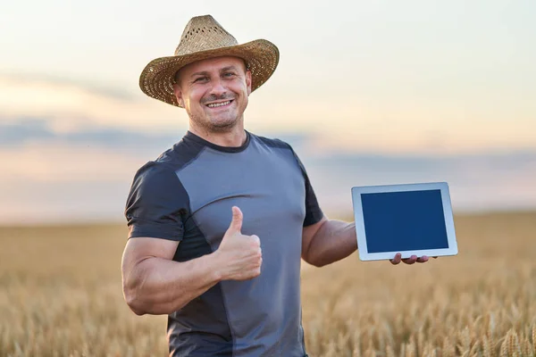 Landwirt Mit Tablet Den Zustand Seiner Weizenkultur Überprüfen — Stockfoto