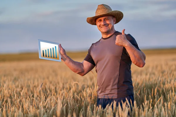 Agricoltore Con Una Tavoletta Che Controlla Stato Della Sua Coltura — Foto Stock