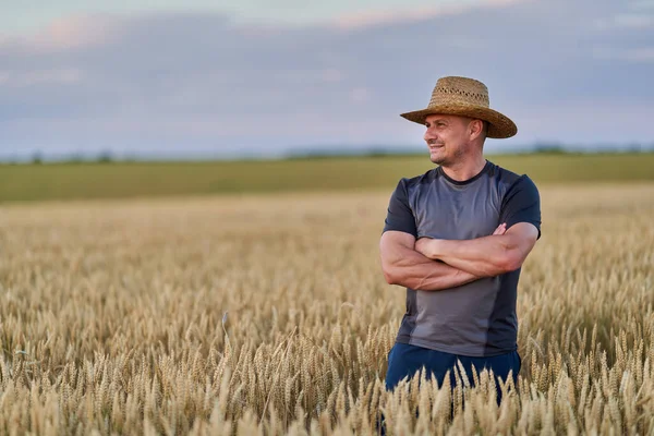 Šťastný Farmář Zralém Pšeničném Poli Při Západu Slunce — Stock fotografie