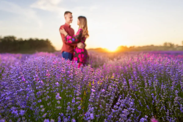 Gün batımında lavanta tarlasında harika vakit geçiren genç bir çift.