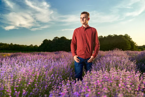 Knappe Jongeman Rood Shirt Blauwe Jeans Een Lavendelveld Bij Zonsondergang — Stockfoto
