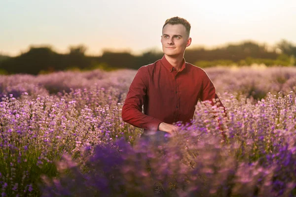 Knappe Jongeman Rood Shirt Blauwe Jeans Een Lavendelveld Bij Zonsondergang — Stockfoto