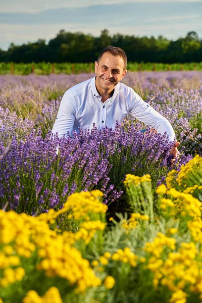 Feliz Granjero Jardín Campo Lavanda Atardecer — Foto de Stock