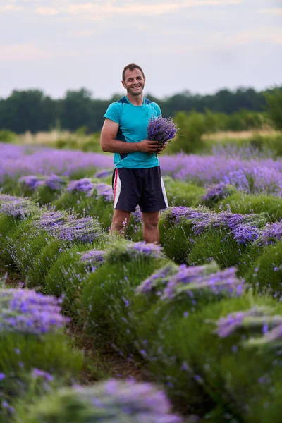 Happy Farmer Harvesting His Lavender Field Sunset — ストック写真