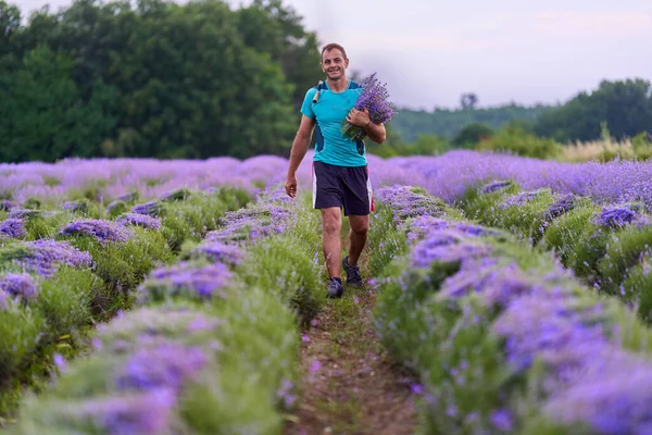 Happy Farmer Harvesting His Lavender Field Sunset — Stock Photo, Image