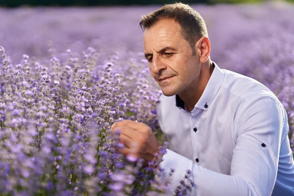 Happy Farmer His Lavender Garden Field Sunset — 스톡 사진