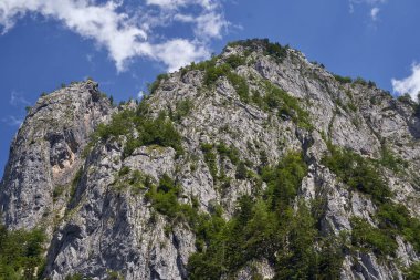 Yazın yüksek kayalık dağ zirveleriyle manzara