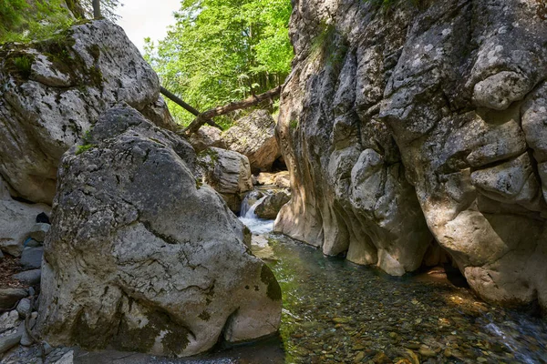 River Flowing Rocky Canyon Summer — Foto Stock