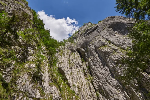 Landscape High Rocky Mountain Peaks Summer — Stock Fotó