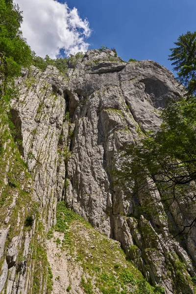 Пейзаж Високими Скелястими Гірськими Вершинами Влітку — стокове фото