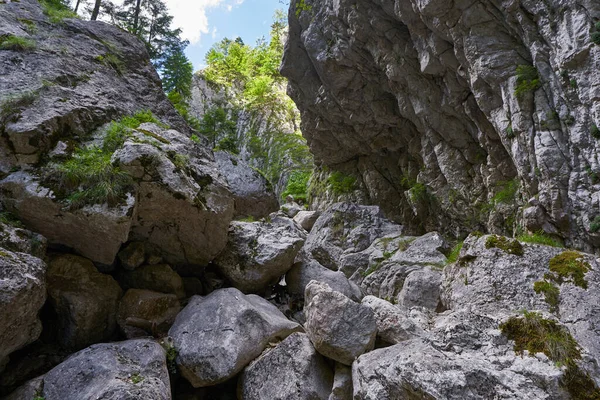 Flussbett Einer Schlucht Mit Riesigen Felsbrocken — Stockfoto
