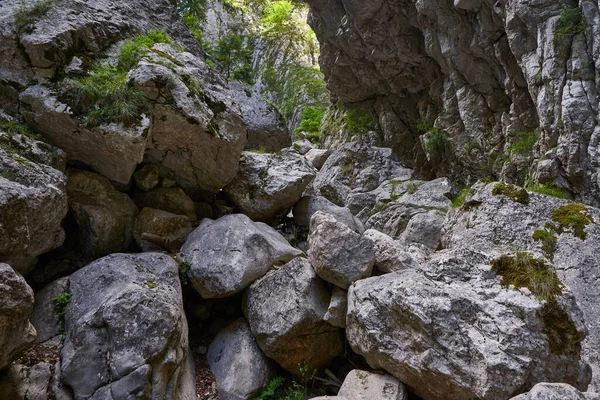 Büyük Kayalarla Dolu Bir Kanyonda Nehir Yatağı — Stok fotoğraf