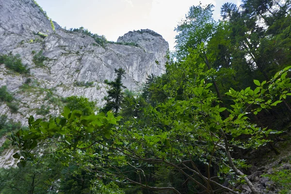 Landschap Met Hoge Rotsachtige Bergtoppen Zomer — Stockfoto