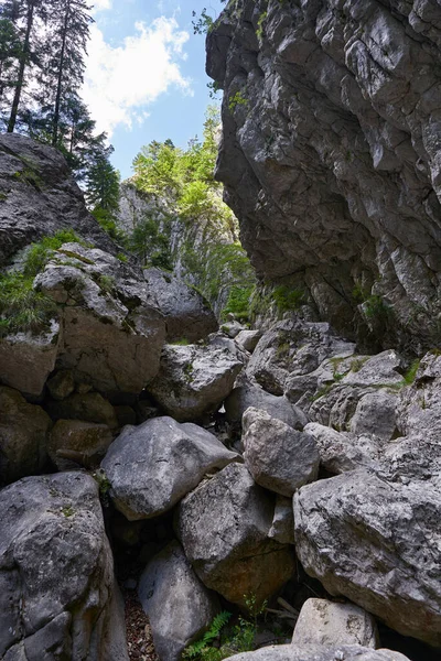 River Bed Canyon Enormous Boulders — Fotografia de Stock
