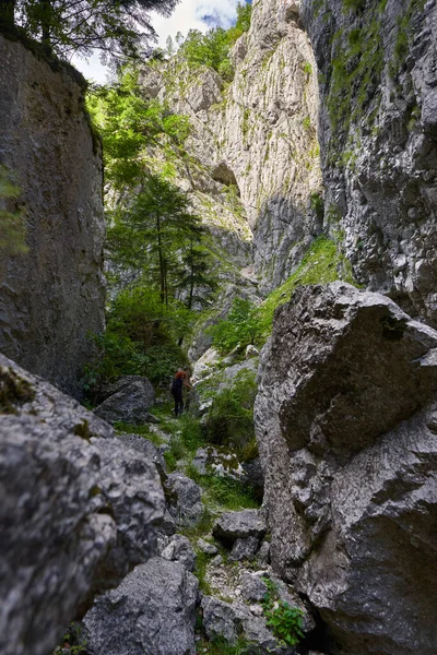 Woman Hiking Trail Rough Steep Canyon — Fotografia de Stock