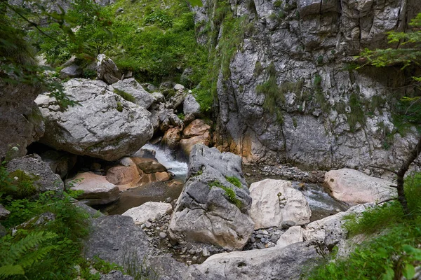 Fluss Fließt Sommer Durch Eine Felsige Schlucht — Stockfoto