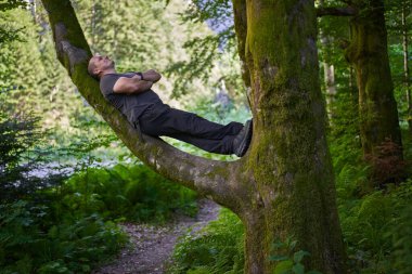 Man sitting on a branch in a tree, like in a hammock