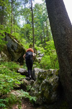 Woman hiker with backpack hiking on a trail in the mountain forest