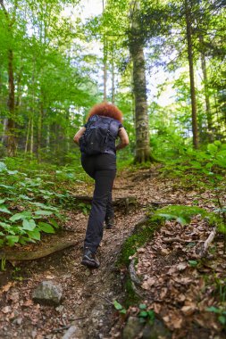 Woman hiker with backpack hiking on a trail in the mountain forest